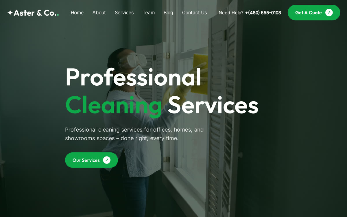 Cleaning Business Concept website preview